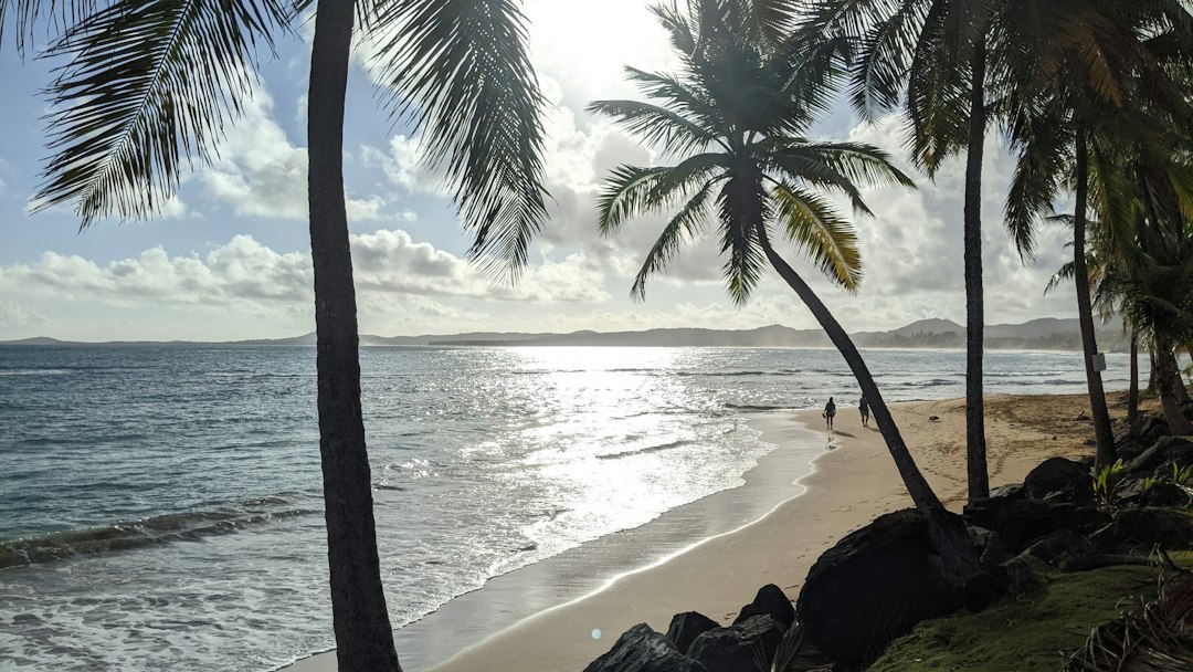 Luquillo Beach in Puerto Rico with palm trees
